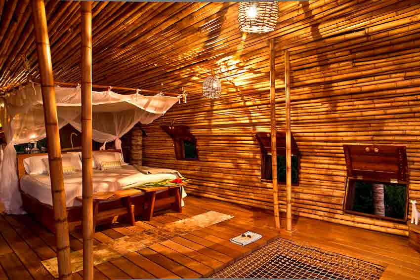 Treehouse Suite at Playa Viva Sustainable Boutique Hotel, Mexico, Deture Culsign, Architecture, bamboo, Chicago, USA