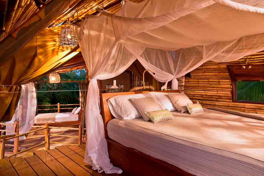 Treehouse Suite at Playa Viva Sustainable Boutique Hotel, Mexico, Deture Culsign, Architecture, bamboo, Chicago, USA